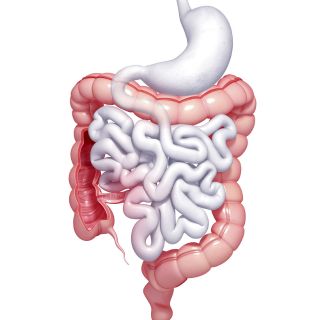 Nettoyage intestinal en profondeur
